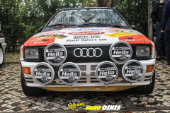 RLLB23-NUNO-81